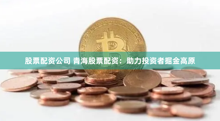 股票配资公司 青海股票配资：助力投资者掘金高原