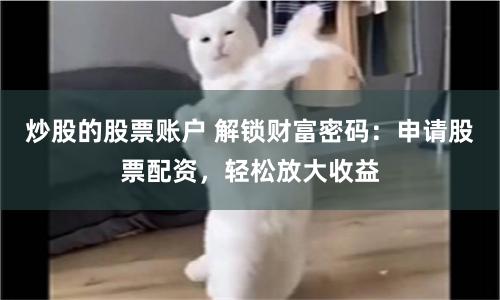 炒股的股票账户 解锁财富密码：申请股票配资，轻松放大收益